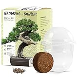 GROW2GO Bonsai Starter Kit Anzuchtset - Pflanzset aus Mini-Gewächshaus,...