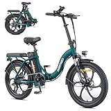 HillMiles MilePort 1 Elektrofahrrad Für Erwachsene, 250W Klappbares...