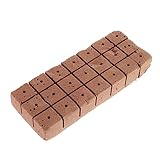 BESTonZON 20 Stück Mini Stecklingsblock für Soilless Kultivierung...