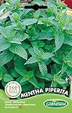Germisem Pfefferminze MENTHA PIPERITA, mehrfarbig, EC1109