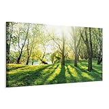B&D XXL - Akustikbild Landschaft 150x50 cm 1 tlg Bilder Akustikschaum...