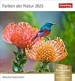 Farben der Natur Postkartenkalender 2025 - Wochenkalender mit 53...