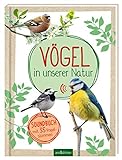 Vögel in unserer Natur: Soundbuch mit 35 Vogelstimmen