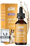 Paawy CBD Öl speziell für Hunde I 1.000mg reines CBD I Vollspektrum I CBD...