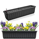 Hausfelder Blumenkasten 2er Set mit Wasserspeicher und Wasserstandsanzeige,...