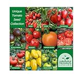 Nojus - Tomaten Samen Set – 10 Sorten – Verschiedene Tomatensamen...