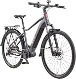 TELEFUNKEN E-Bike Herren 29 Zoll, Elektrofahrrad Mittelmotor, 10-Gang...