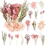 LAUMOE Getrocknete Blumen,Trockenblumen Zum Basteln Mini Trockenblumen Set...