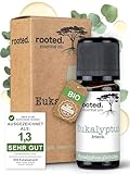 rooted.® BIO Eukalyptusöl 10ml [100% NATURREIN] - Echter Eukalyptus -...