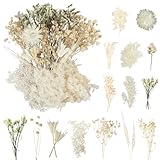 LAUMOE Getrocknete Blumen, Trockenblumen Set für DIY Epoxidharz Scrapbook...
