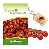 Kirschtomate Bajaja Samen - Solanum lycopersicum - Tomatensamen...