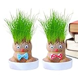 Glaskopf-Puppenpflanze – Graskopf-Puppenpflanzer, Tisch-Grünpflanze |...