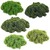 Islandmoos, Moosbild, Moos Zum Basteln, 5 Verschiedene Moosarten, Deko...