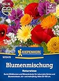 Kiepenkerl Blumensamen-Mischung Naturwiese 1072470 - Bunte Wildblumen &...