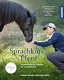 Sprachkurs Pferd: Pferdesprache lernen in 12 Schritten