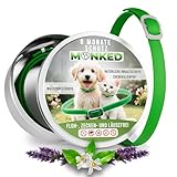 Monked | Natürliches Zeckenhalsband Hunde ohne Chemie | bis 8 Monate...