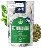 Pfefferminztee lose Monte Nativo (300g) - Pfefferminz (Peppermint) für...