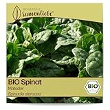 Samenliebe BIO Spinat Samen alte Sorte Matador aromatischer Blattspinat...