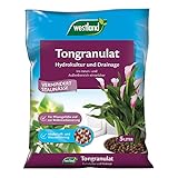 Westland Tongranulat, 5 l – Pflanzgranulat ideal für Hydrokultur,...