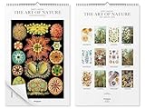Posterlounge von Ernst Haeckel Wandkalender Ernst Haeckel Kalender - The...