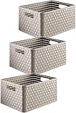 Rotho Country 3er-Set Aufbewahrungskiste 18l in Rattan-Optik, Kunststoff,...