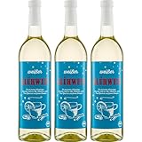 Glühwein BIO Spanien inkl. FeinWert E-Book (3 x 0.75 l)