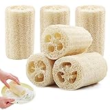 6Pcs Luffa Schwamm,Dusche Luffa Gurke Schwamm Natur Luffa Badeschwamm...