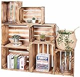 LAUBLUST Vintage Holzkisten 7er Set Geflammt - 50x40x30cm / 40x30x25cm |...