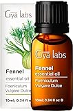 Gya Labs Ätherisches Fenchelöl (10 ml) – Süßer, pfeffriger Duft