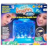 Aqua Dragons schlüpfen und wachsen lebende Wassertiere,...