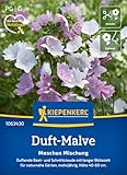 Kiepenkerl Duft-Malvensamen Moschus Mischung 1063430 - duftende Beet- und...