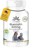 Quercetin 500mg - 60 Kapseln - Hochdosiert | HERBADIREKT by Warnke...