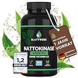 Nattokinase 2000 FU - JAHRESVORRAT - 365 Nattokinase Kapseln je 100mg...