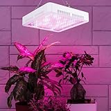 Pflanzenlampe, Grow Lampe 240LEDs Pflanzenlampe LED Vollspektrum, LED Grow...