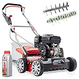 HECHT 2-IN-1 Benzin Vertikutierer mit Briggs & Stratton Motor – 4,2...