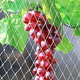 Vogelschutznetz Für Obstbäume, Extra Groß, Strapazierfähige...