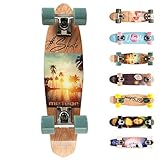 meteor Holz Skateboard Kinder - Mini Cruiser Kickboard - Skateboard...