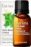 Gya Labs Heiliges Basilikum (Tulsi) Ätherisches Öl (10 ml) – 100%...
