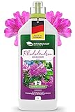 Rhododendron Dünger Flüssig - Biologischer Spezial Dünger Für...