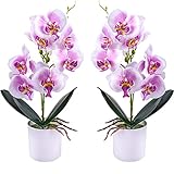 XONOR Künstliche Orchideenblumen, 2 Stück eingetopfte Orchideenblüten...