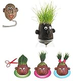 Doridia Imports Graskopf - Egghead