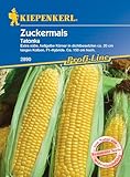 Kiepenkerl Profi-Line Zuckermaissamen Tatonka, F1 2890 - Extra süß - ca....