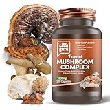 The Good Guru Extrakt Pilz Kapsel Ergänzung - 1800mg | 120 Kapseln Chaga,...