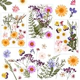 MXTIMWAN 66 Stück Natürliche Getrocknete Blumen,Trockenblumen zum...