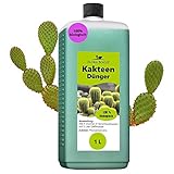 Konfitee Kakteen Dünger Flora Boost 1000ml I Für bis zu 200L Gießwasser...