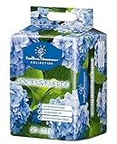 Floragard Endless Summer Hortensienerde blau 20 L • zum Pflanzen und...