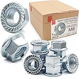 Sperrzahnmutter M8-1Kg (ca.150 Stk.) verzinkter Stahl Flanschmutter DIN...