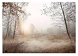 WallArena - Vlies Fototapete Bäume Nebel Wald Landschaft Natur Wiese Gras...