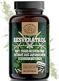 Resveratrol -1000mg je Tagesdosis- WICHTIG: 100:1 Extrakt (=100000mg jap....