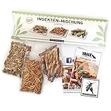 Essbare Insekten Mischung von 'SNACK insects' - 25g Insekten zum Essen -...